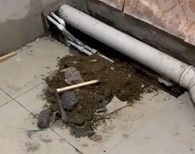 贵溪卫生间漏水检测哪家好