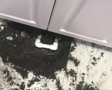 贵溪查漏水哪家好